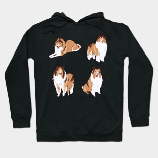 Collie dog pack Hoodie